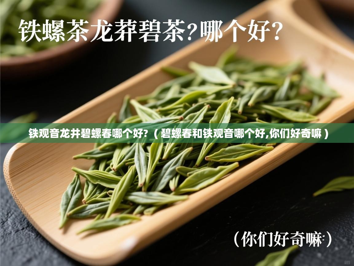  铁观音龙井碧螺春哪个好?  ( 碧螺春和铁观音哪个好,你们好奇嘛 )