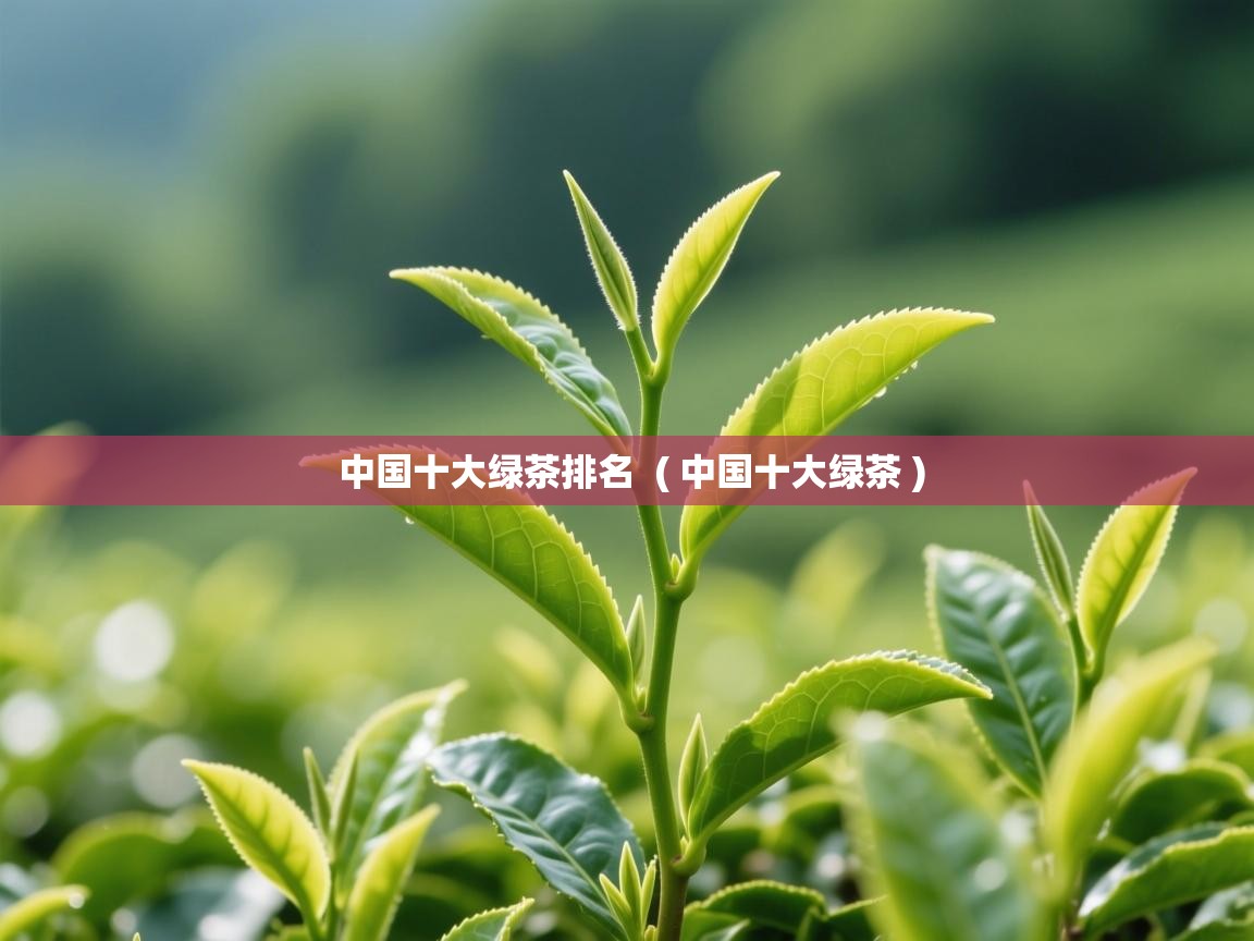  中国十大绿茶排名  ( 中国十大绿茶 )