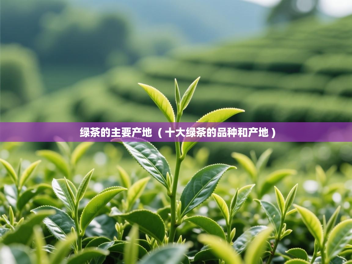 绿茶的主要产地  ( 十大绿茶的品种和产地 )  绿茶的主要产地  ( 十大绿茶的品种和产地 )