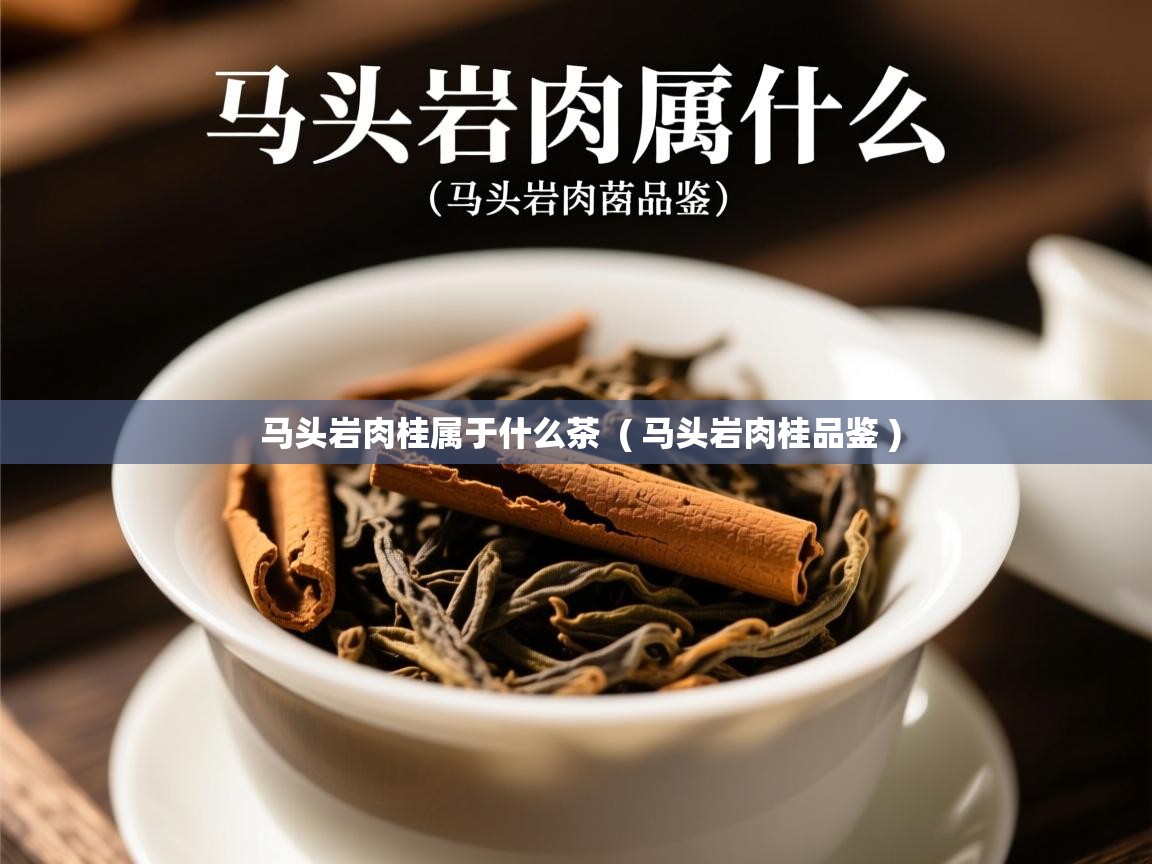  马头岩肉桂属于什么茶  ( 马头岩肉桂品鉴 )