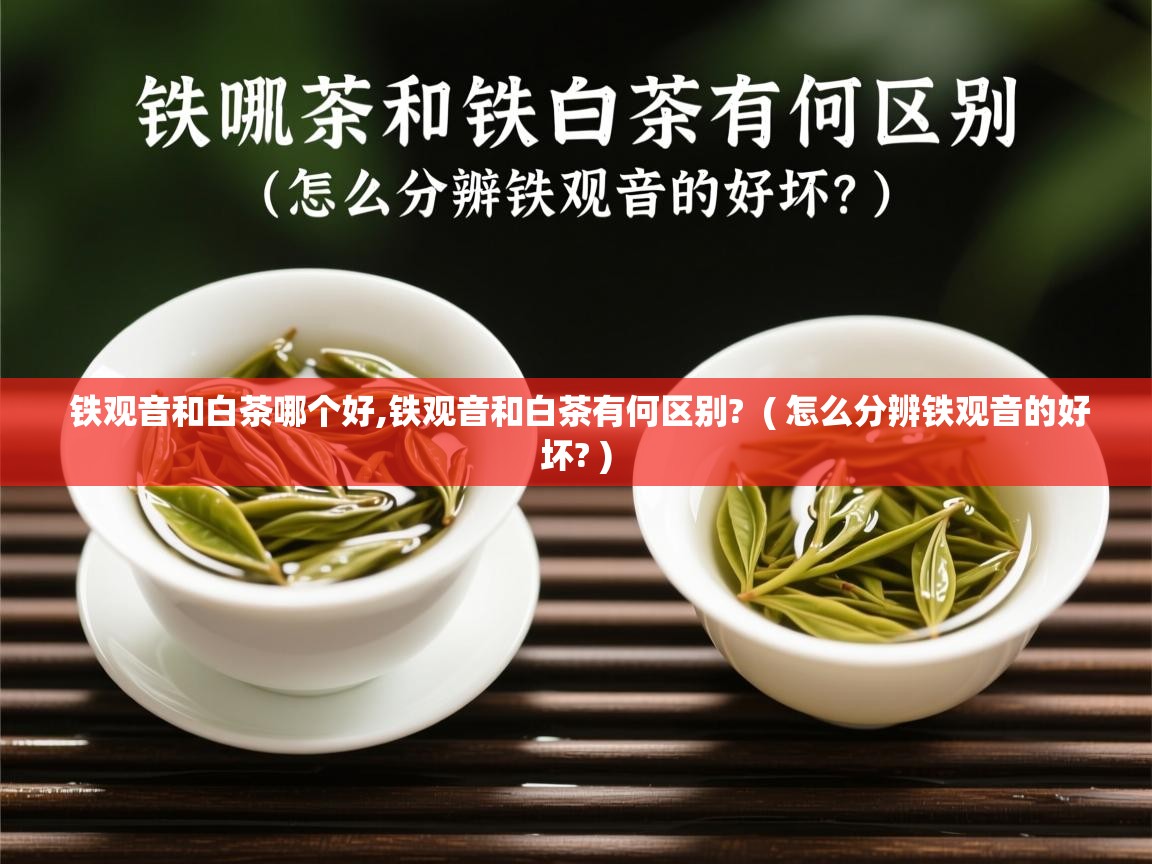  铁观音和白茶哪个好,铁观音和白茶有何区别?  ( 怎么分辨铁观音的好坏? )