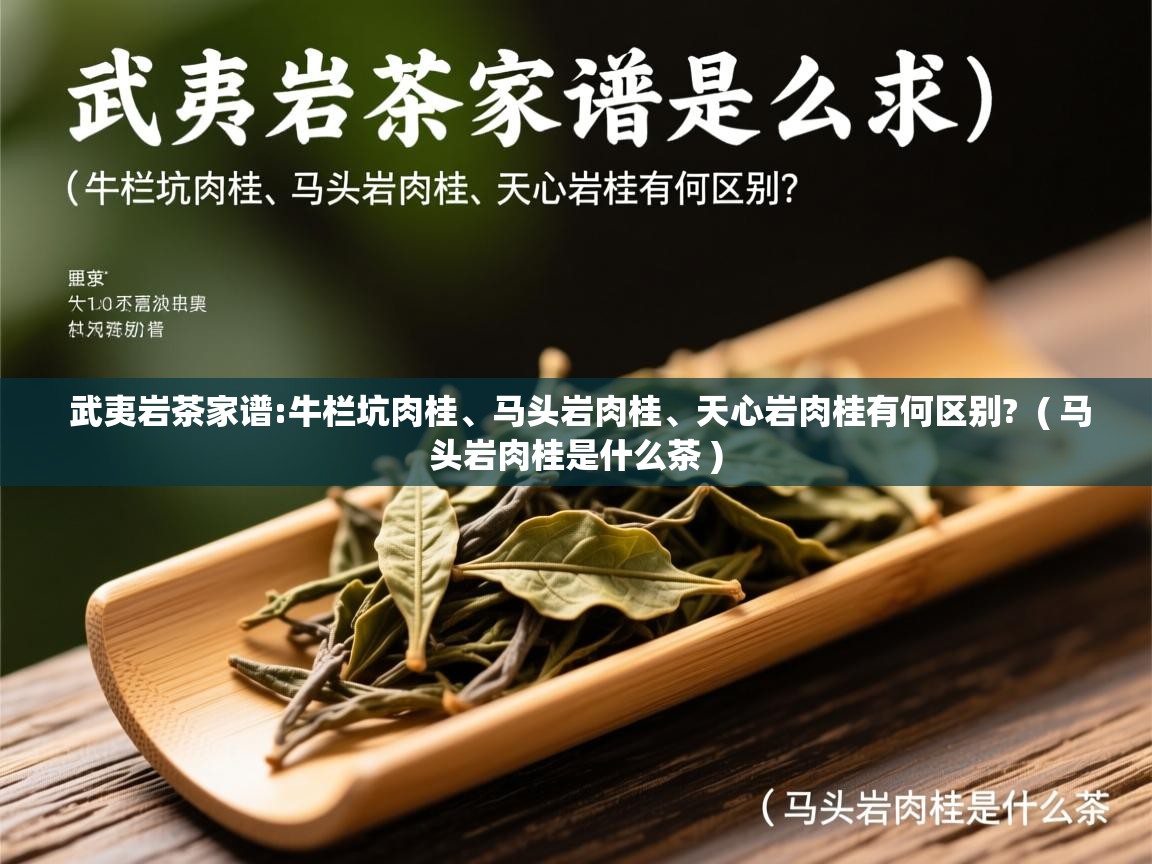 武夷岩茶家谱:牛栏坑肉桂、马头岩肉桂、天心岩肉桂有何区别? ( 马头岩肉桂是什么茶 ) 武夷岩茶家谱:牛栏坑肉桂、马头岩肉桂、天心岩肉桂有何区别? ( 马头岩肉桂是什么茶 )