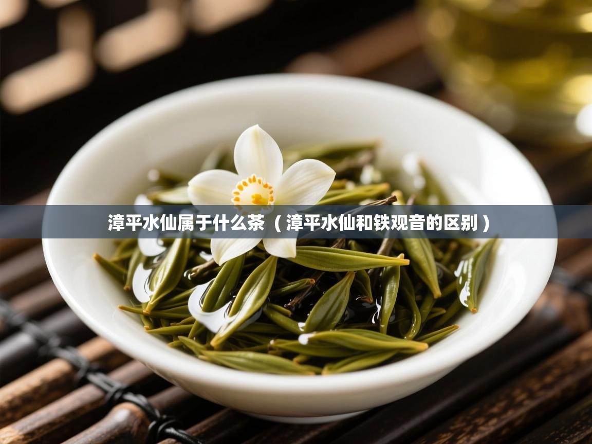 漳平水仙属于什么茶 ( 漳平水仙和铁观音的区别 ) 漳平水仙属于什么茶 ( 漳平水仙和铁观音的区别 )