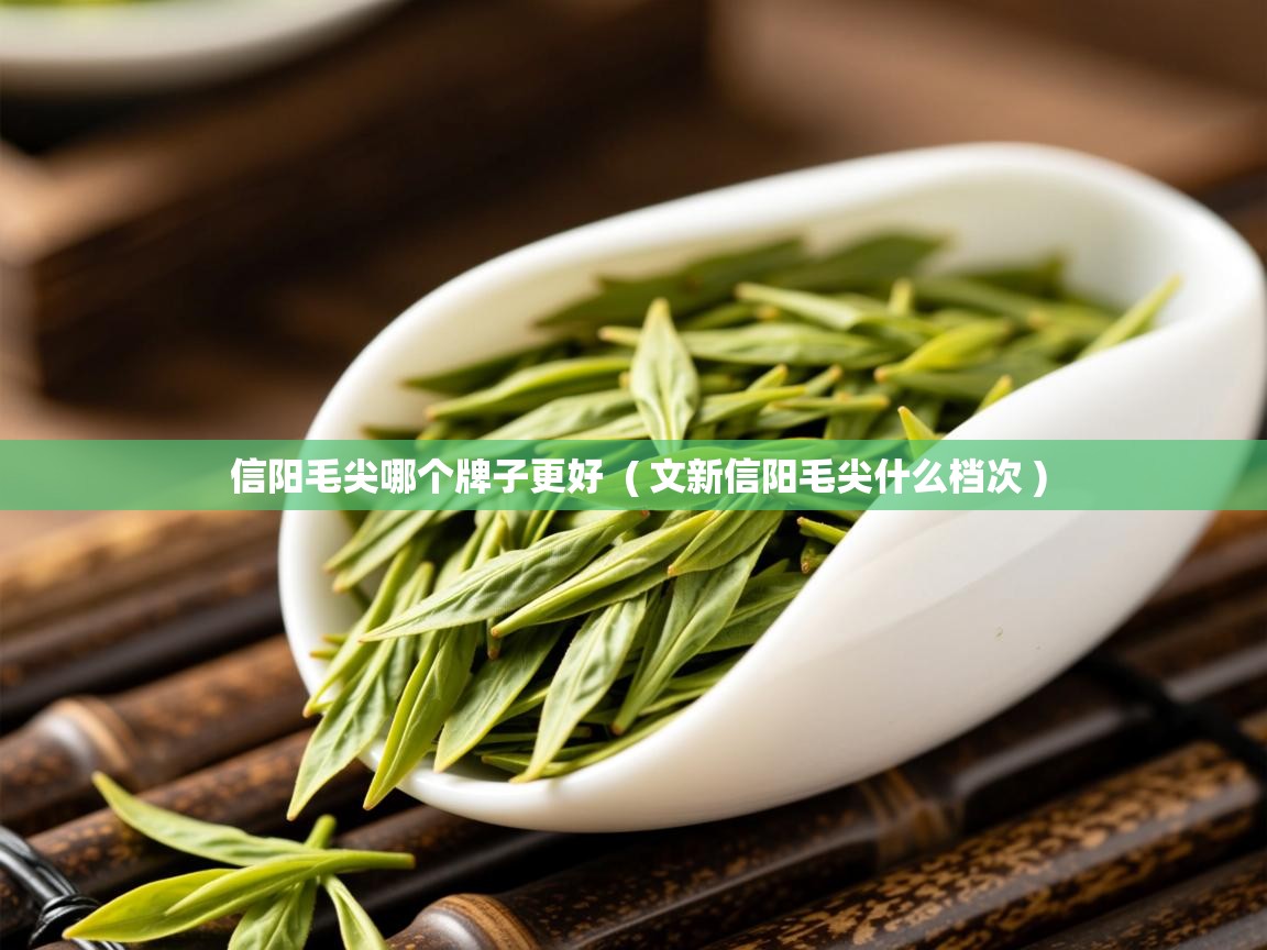  信阳毛尖哪个牌子更好  ( 文新信阳毛尖什么档次 )