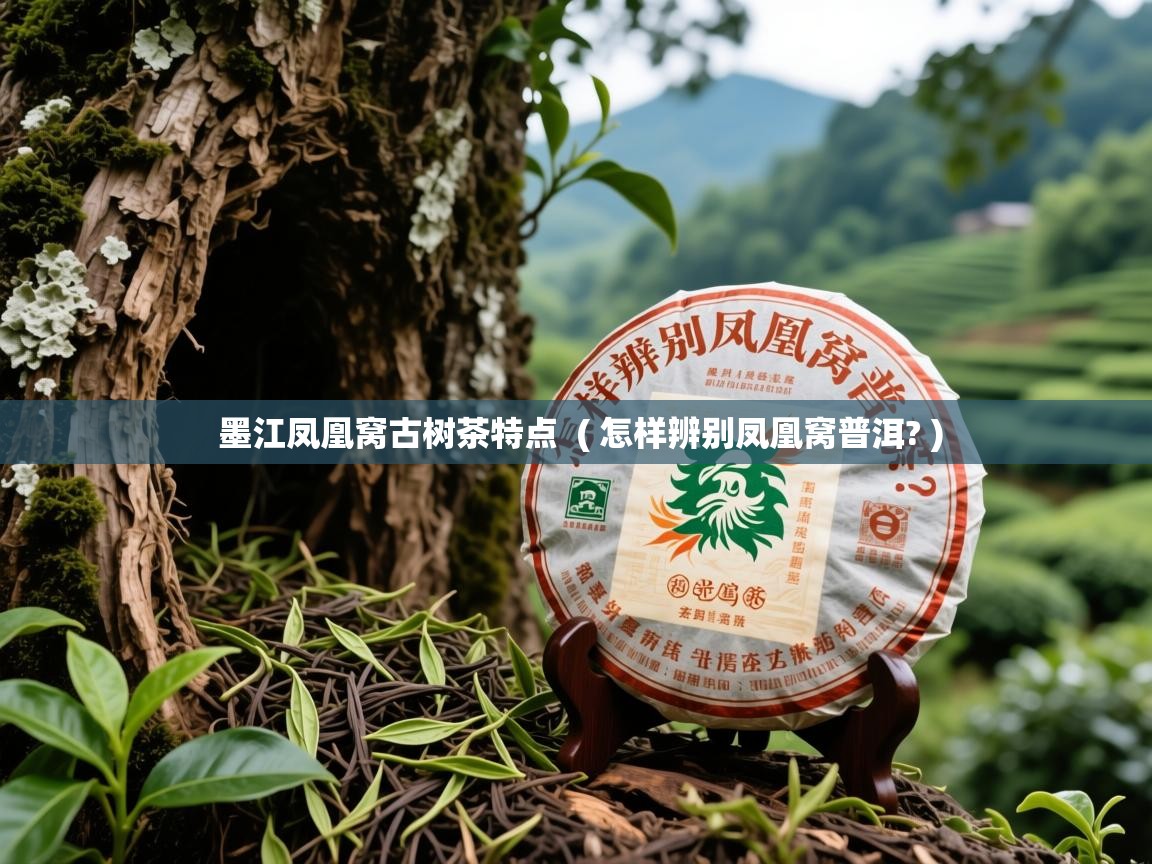 墨江凤凰窝古树茶特点 ( 怎样辨别凤凰窝普洱? ) 墨江凤凰窝古树茶特点 ( 怎样辨别凤凰窝普洱? )