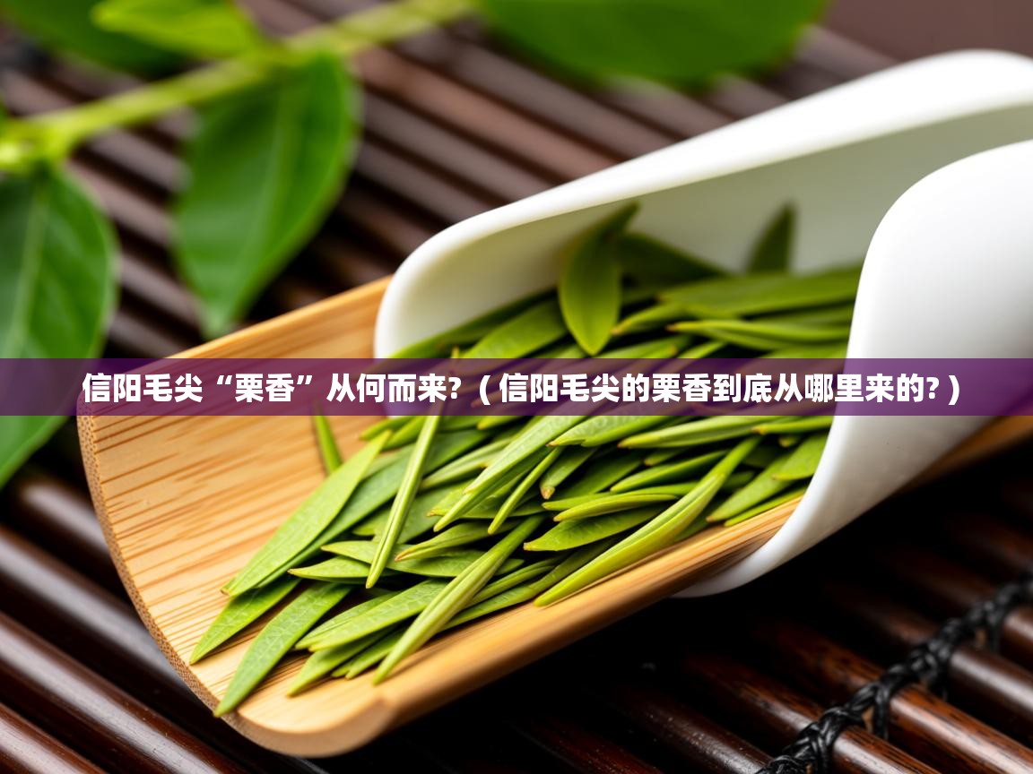信阳毛尖“栗香”从何而来? ( 信阳毛尖的栗香到底从哪里来的? ) 信阳毛尖“栗香”从何而来? ( 信阳毛尖的栗香到底从哪里来的? )