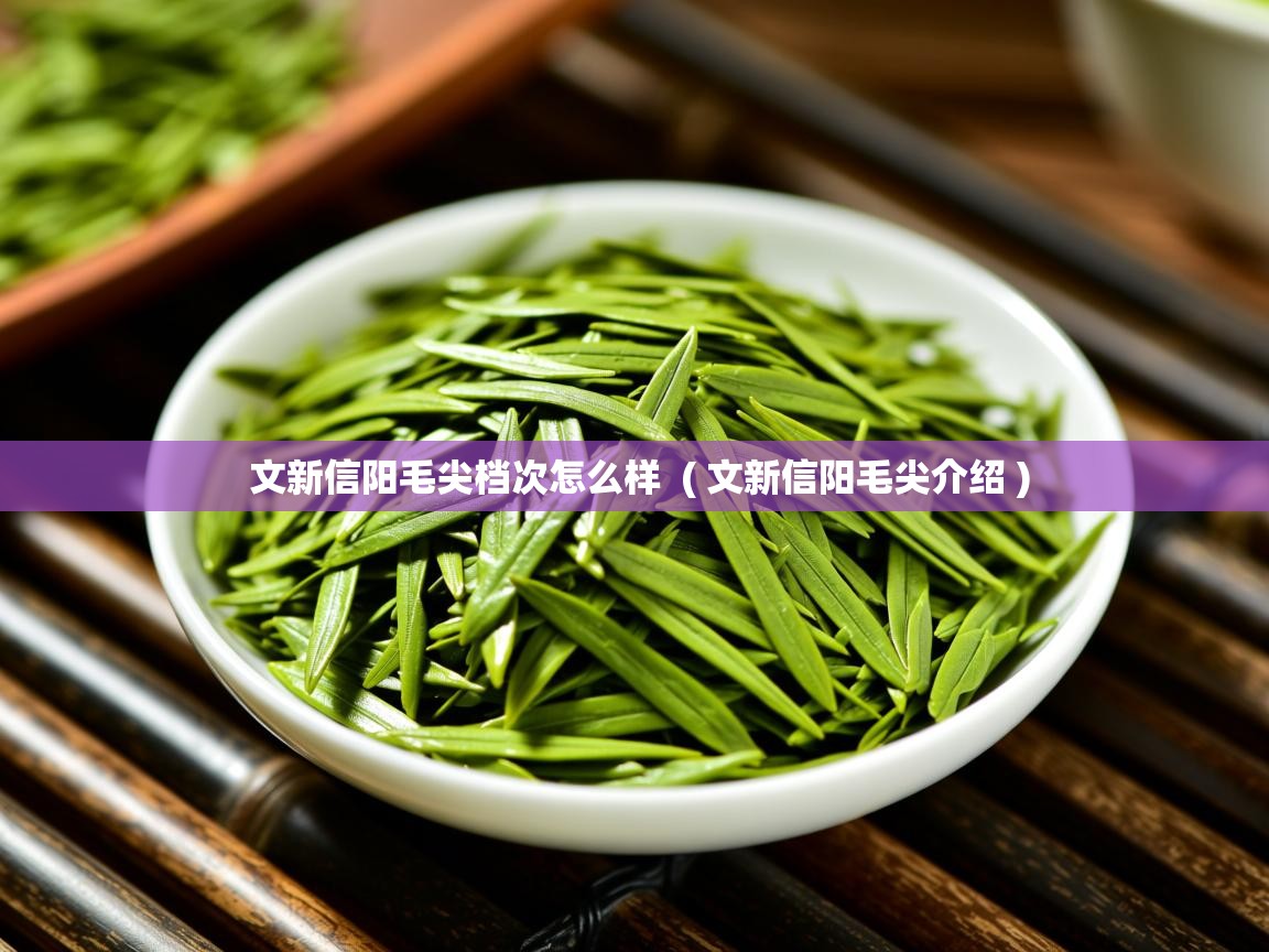  文新信阳毛尖档次怎么样  ( 文新信阳毛尖介绍 )