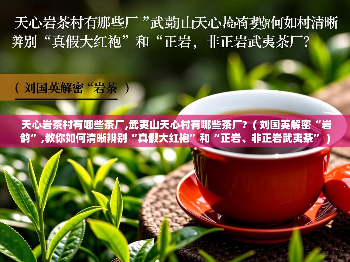  天心岩茶村有哪些茶厂,武夷山天心村有哪些茶厂?  ( 刘国英解密“岩韵”,教你如何清晰辨别“真假大红袍”和“正岩、非正岩武夷茶” )