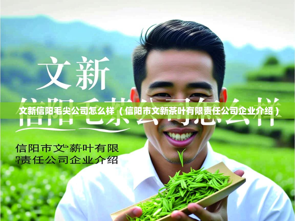  文新信阳毛尖公司怎么样  ( 信阳市文新茶叶有限责任公司企业介绍 )