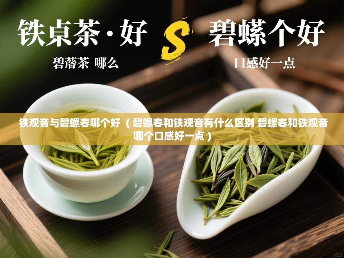  铁观音与碧螺春哪个好  ( 碧螺春和铁观音有什么区别 碧螺春和铁观音哪个口感好一点 )