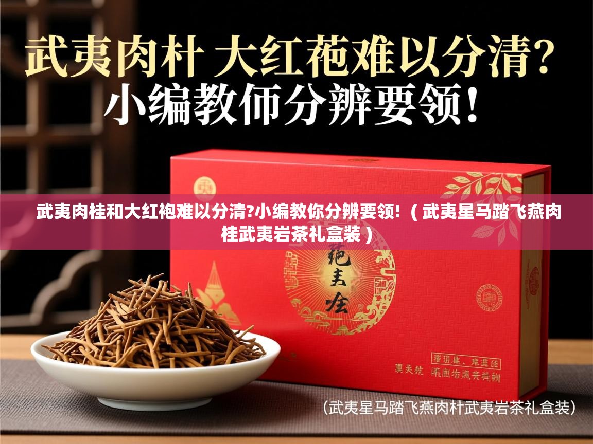 武夷肉桂和大红袍难以分清?小编教你分辨要领! ( 武夷星马踏飞燕肉桂武夷岩茶礼盒装 ) 武夷肉桂和大红袍难以分清?小编教你分辨要领! ( 武夷星马踏飞燕肉桂武夷岩茶礼盒装 )