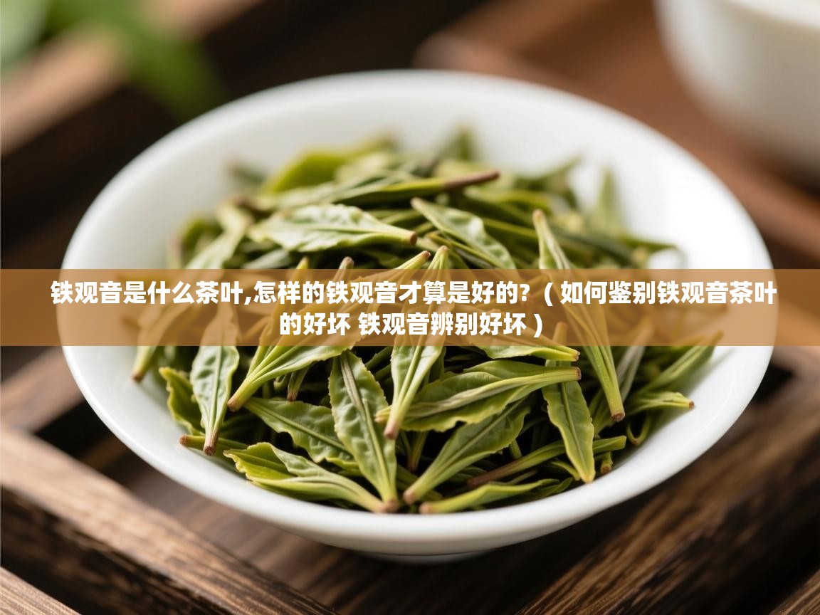 铁观音是什么茶叶,怎样的铁观音才算是好的? ( 如何鉴别铁观音茶叶的好坏 铁观音辨别好坏 ) 铁观音是什么茶叶,怎样的铁观音才算是好的? ( 如何鉴别铁观音茶叶的好坏 铁观音辨别好坏 )