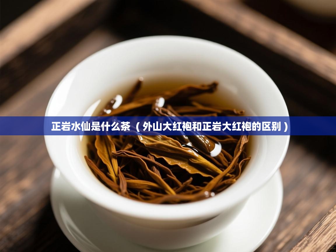 正岩水仙是什么茶 ( 外山大红袍和正岩大红袍的区别 ) 正岩水仙是什么茶 ( 外山大红袍和正岩大红袍的区别 )