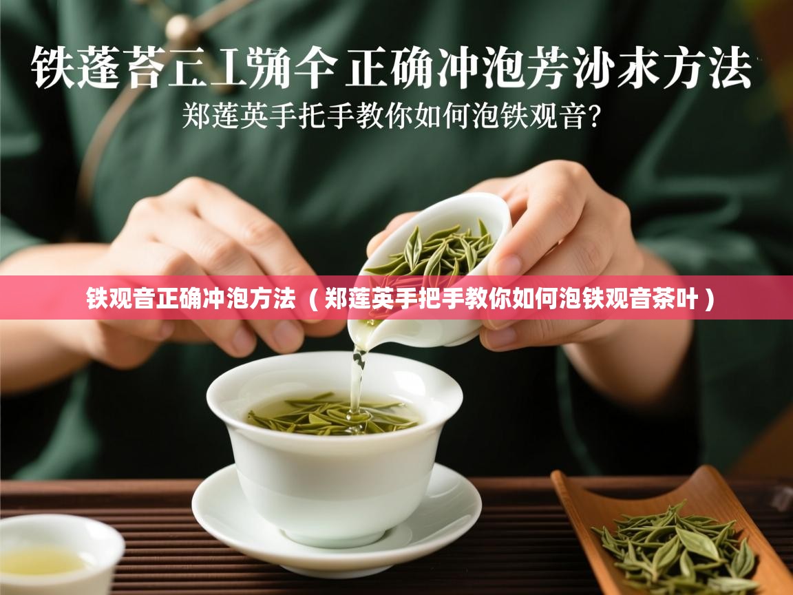 铁观音正确冲泡方法 ( 郑莲英手把手教你如何泡铁观音茶叶 ) 铁观音正确冲泡方法 ( 郑莲英手把手教你如何泡铁观音茶叶 )