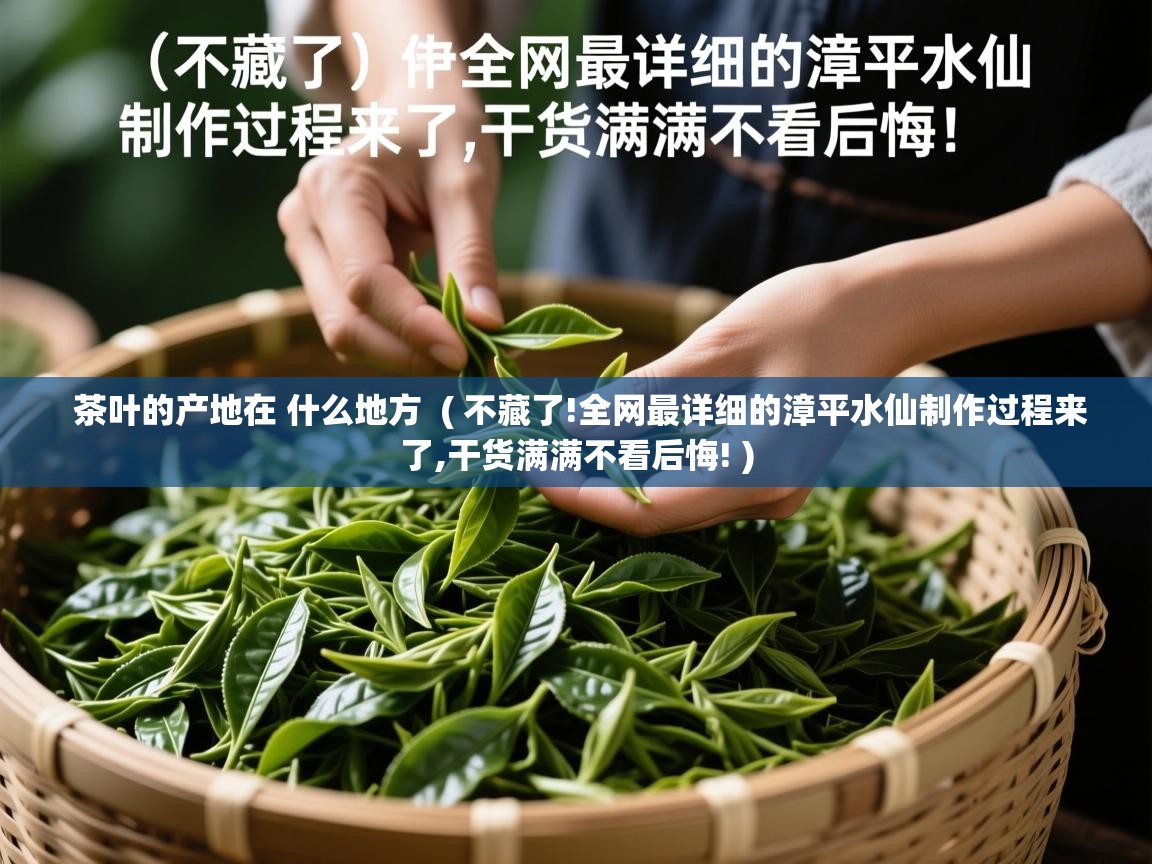  茶叶的产地在 什么地方  ( 不藏了!全网最详细的漳平水仙制作过程来了,干货满满不看后悔! )