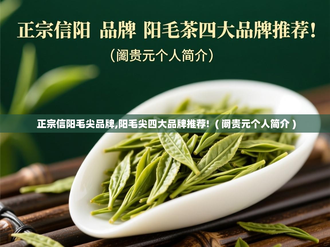 正宗信阳毛尖品牌,阳毛尖四大品牌推荐!  ( 阚贵元个人简介 )