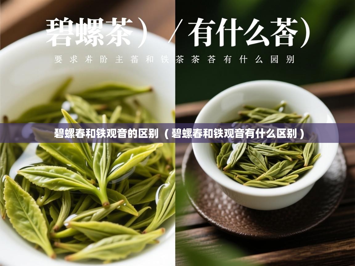  碧螺春和铁观音的区别  ( 碧螺春和铁观音有什么区别 )