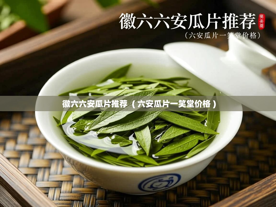  徽六六安瓜片推荐  ( 六安瓜片一笑堂价格 )