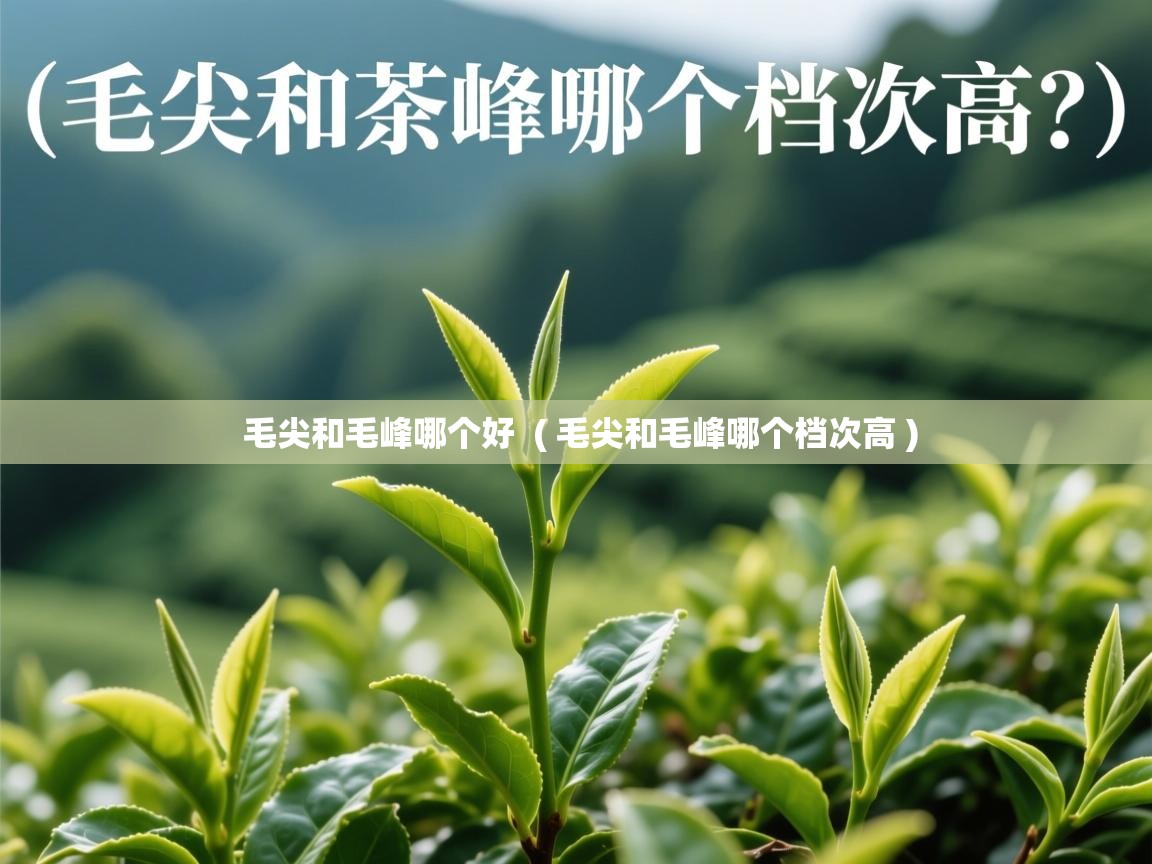 毛尖和毛峰哪个好  ( 毛尖和毛峰哪个档次高 )