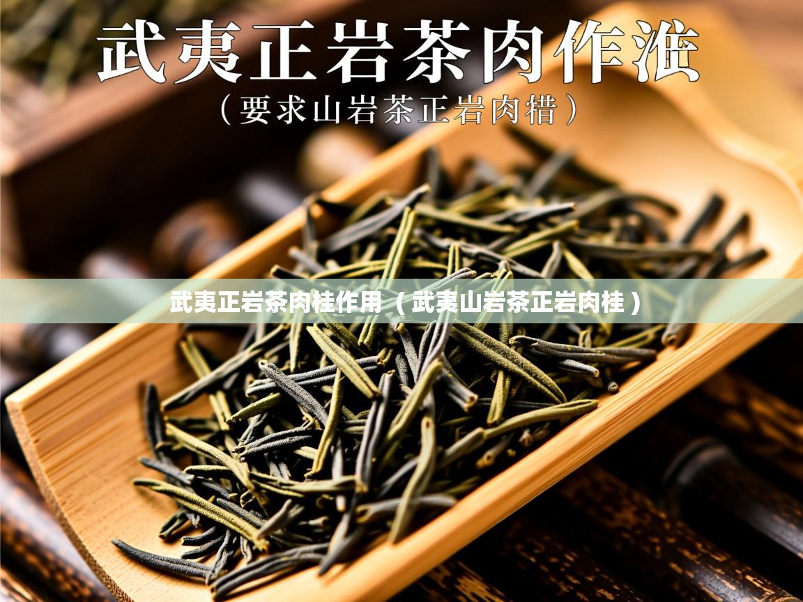  武夷正岩茶肉桂作用  ( 武夷山岩茶正岩肉桂 )