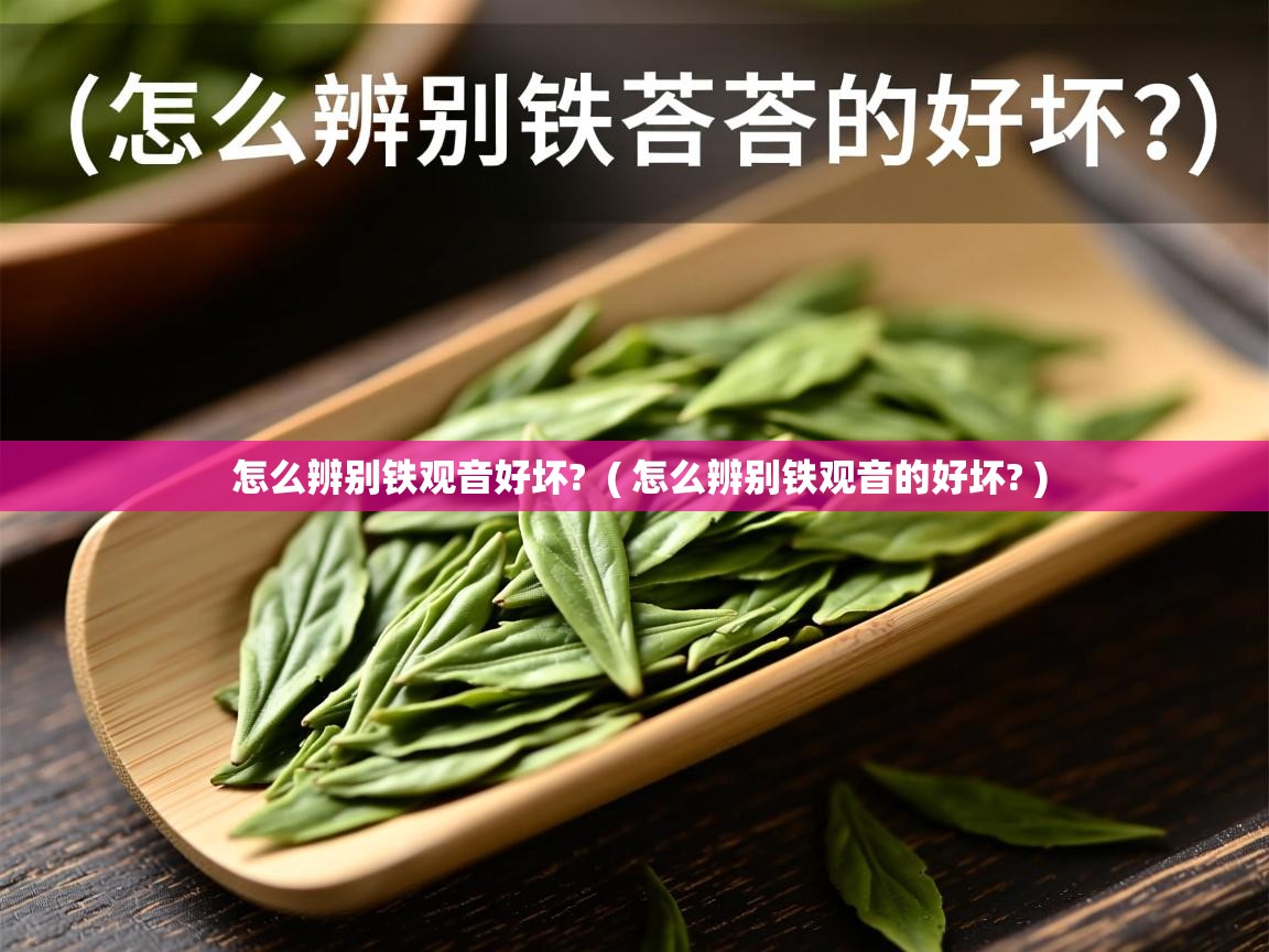  怎么辨别铁观音好坏?  ( 怎么辨别铁观音的好坏? )
