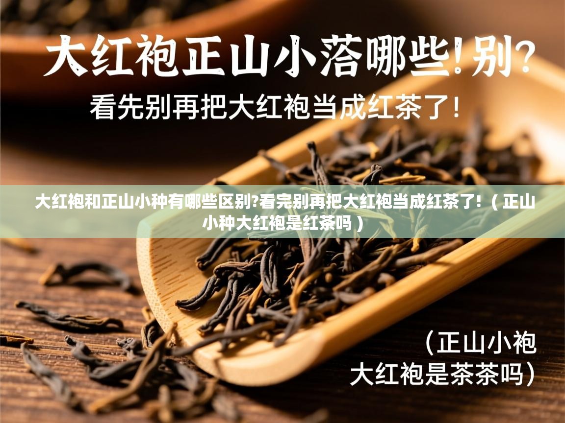 大红袍和正山小种有哪些区别?看完别再把大红袍当成红茶了! ( 正山小种大红袍是红茶吗 ) 大红袍和正山小种有哪些区别?看完别再把大红袍当成红茶了! ( 正山小种大红袍是红茶吗 )