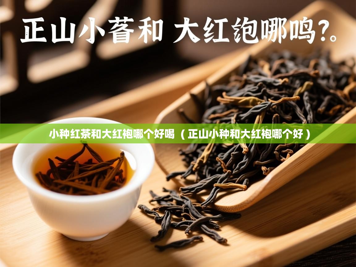 小种红茶和大红袍哪个好喝 ( 正山小种和大红袍哪个好 ) 小种红茶和大红袍哪个好喝 ( 正山小种和大红袍哪个好 )