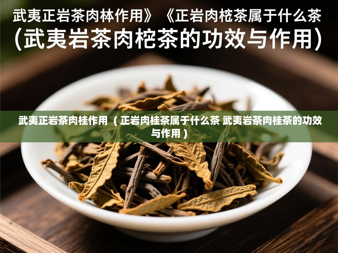  武夷正岩茶肉桂作用  ( 正岩肉桂茶属于什么茶 武夷岩茶肉桂茶的功效与作用 )