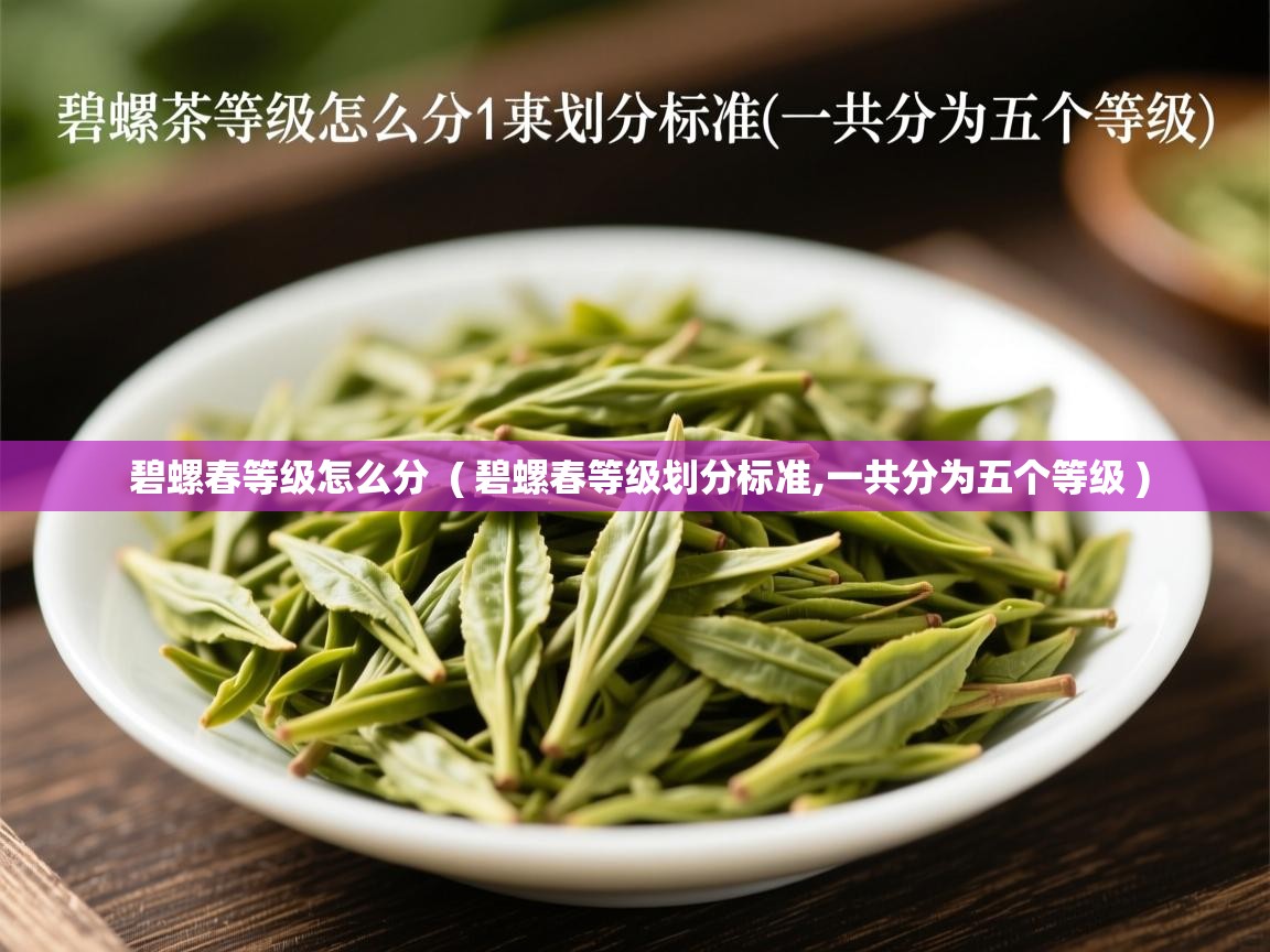 碧螺春等级怎么分 ( 碧螺春等级划分标准,一共分为五个等级 ) 碧螺春等级怎么分 ( 碧螺春等级划分标准,一共分为五个等级 )