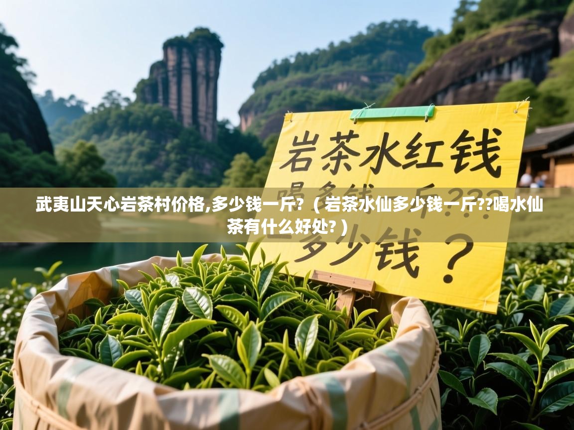  武夷山天心岩茶村价格,多少钱一斤?  ( 岩茶水仙多少钱一斤??喝水仙茶有什么好处? )