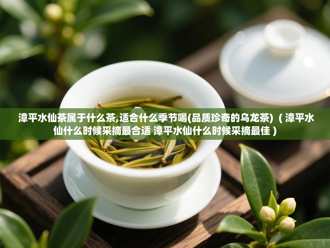  漳平水仙茶属于什么茶,适合什么季节喝(品质珍奇的乌龙茶)  ( 漳平水仙什么时候采摘最合适 漳平水仙什么时候采摘最佳 )