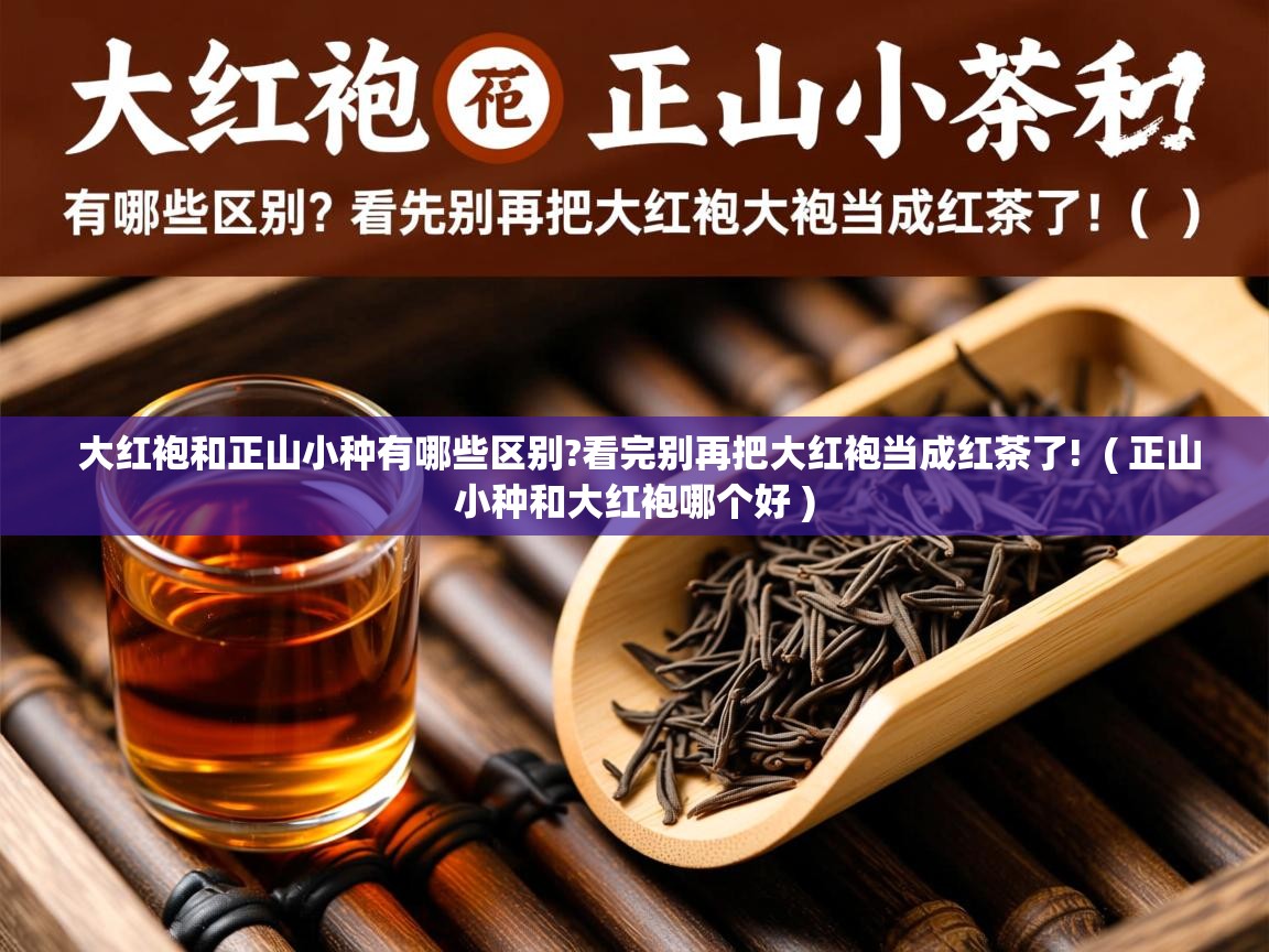大红袍和正山小种有哪些区别?看完别再把大红袍当成红茶了! ( 正山小种和大红袍哪个好 ) 大红袍和正山小种有哪些区别?看完别再把大红袍当成红茶了! ( 正山小种和大红袍哪个好 )
