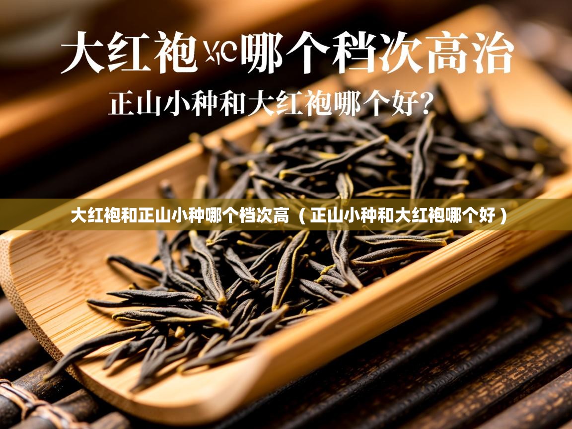 大红袍和正山小种哪个档次高 ( 正山小种和大红袍哪个好 ) 大红袍和正山小种哪个档次高 ( 正山小种和大红袍哪个好 )