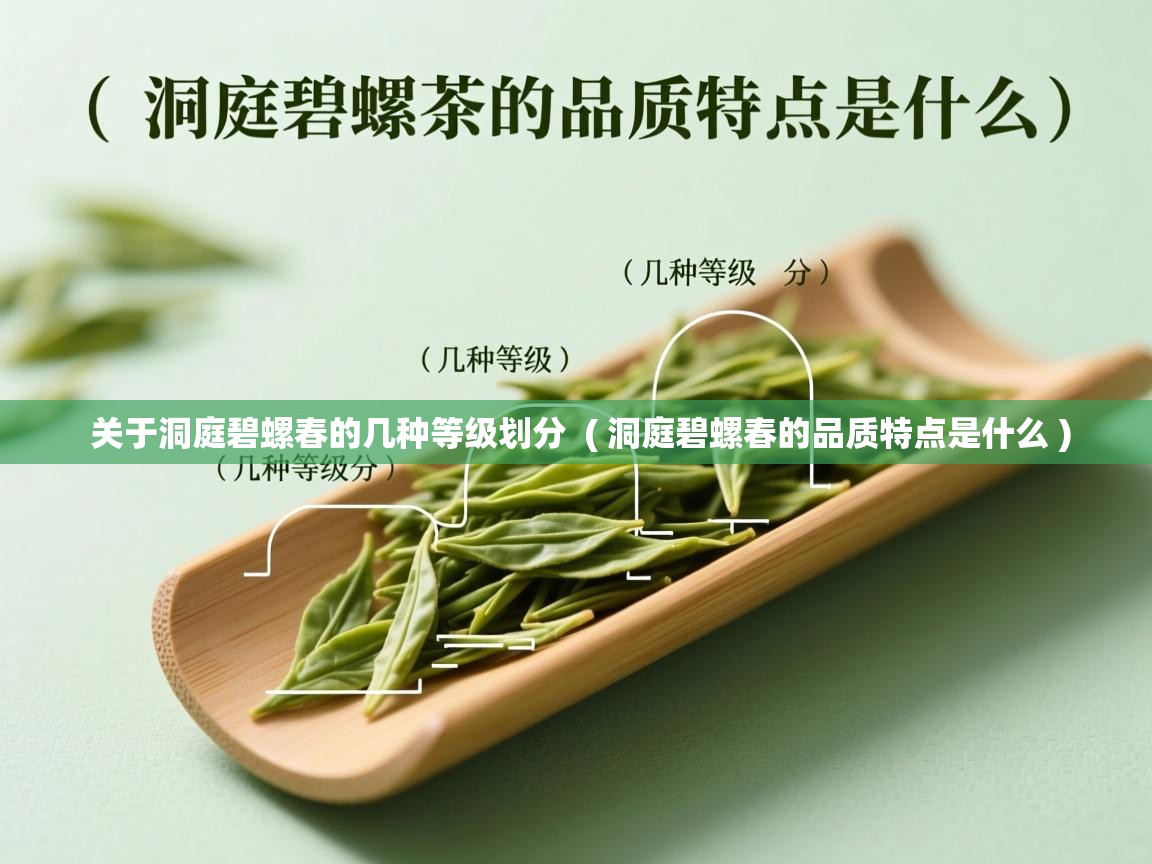 关于洞庭碧螺春的几种等级划分 ( 洞庭碧螺春的品质特点是什么 ) 关于洞庭碧螺春的几种等级划分 ( 洞庭碧螺春的品质特点是什么 )