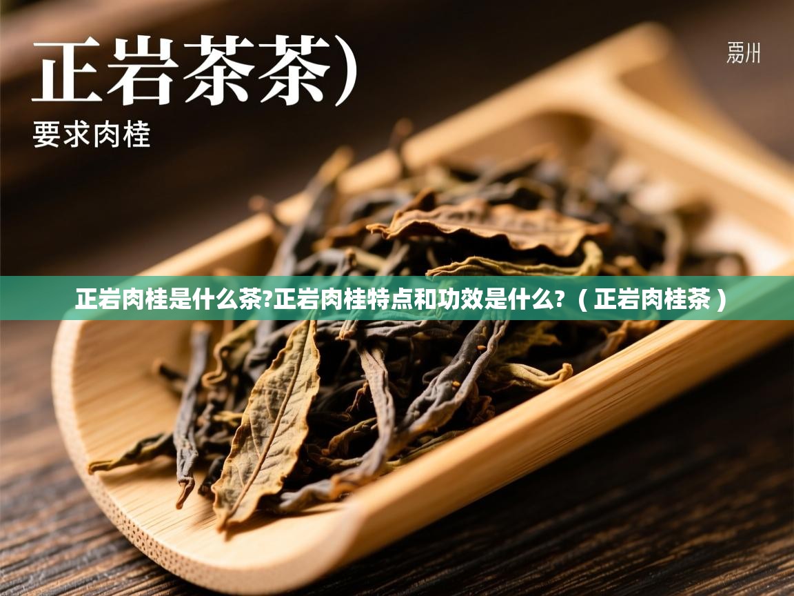 正岩肉桂是什么茶?正岩肉桂特点和功效是什么? ( 正岩肉桂茶 ) 正岩肉桂是什么茶?正岩肉桂特点和功效是什么? ( 正岩肉桂茶 )