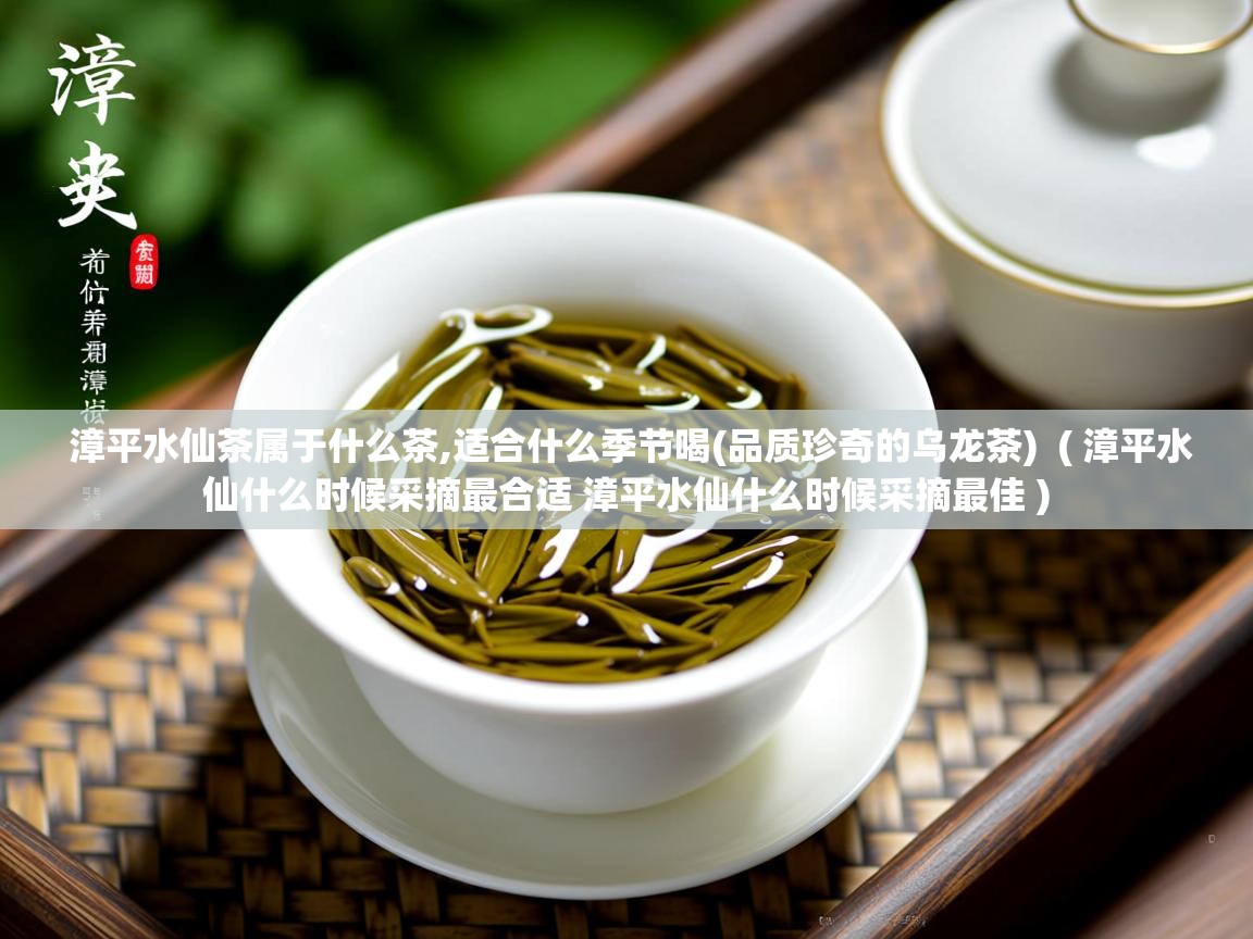 漳平水仙茶属于什么茶,适合什么季节喝(品质珍奇的乌龙茶) ( 漳平水仙什么时候采摘最合适 漳平水仙什么时候采摘最佳 ) 漳平水仙茶属于什么茶,适合什么季节喝(品质珍奇的乌龙茶) ( 漳平水仙什么时候采摘最合适 漳平水仙什么时候采摘最佳 )