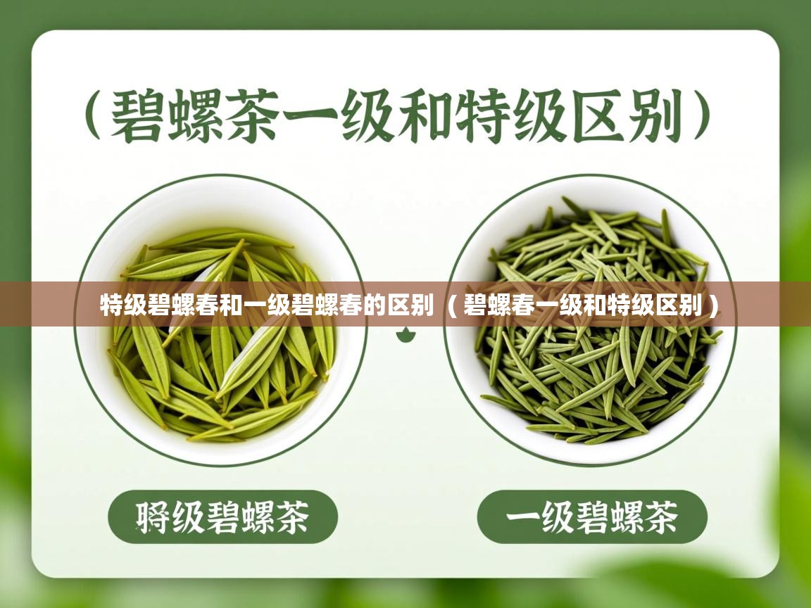 特级碧螺春和一级碧螺春的区别 ( 碧螺春一级和特级区别 ) 特级碧螺春和一级碧螺春的区别 ( 碧螺春一级和特级区别 )