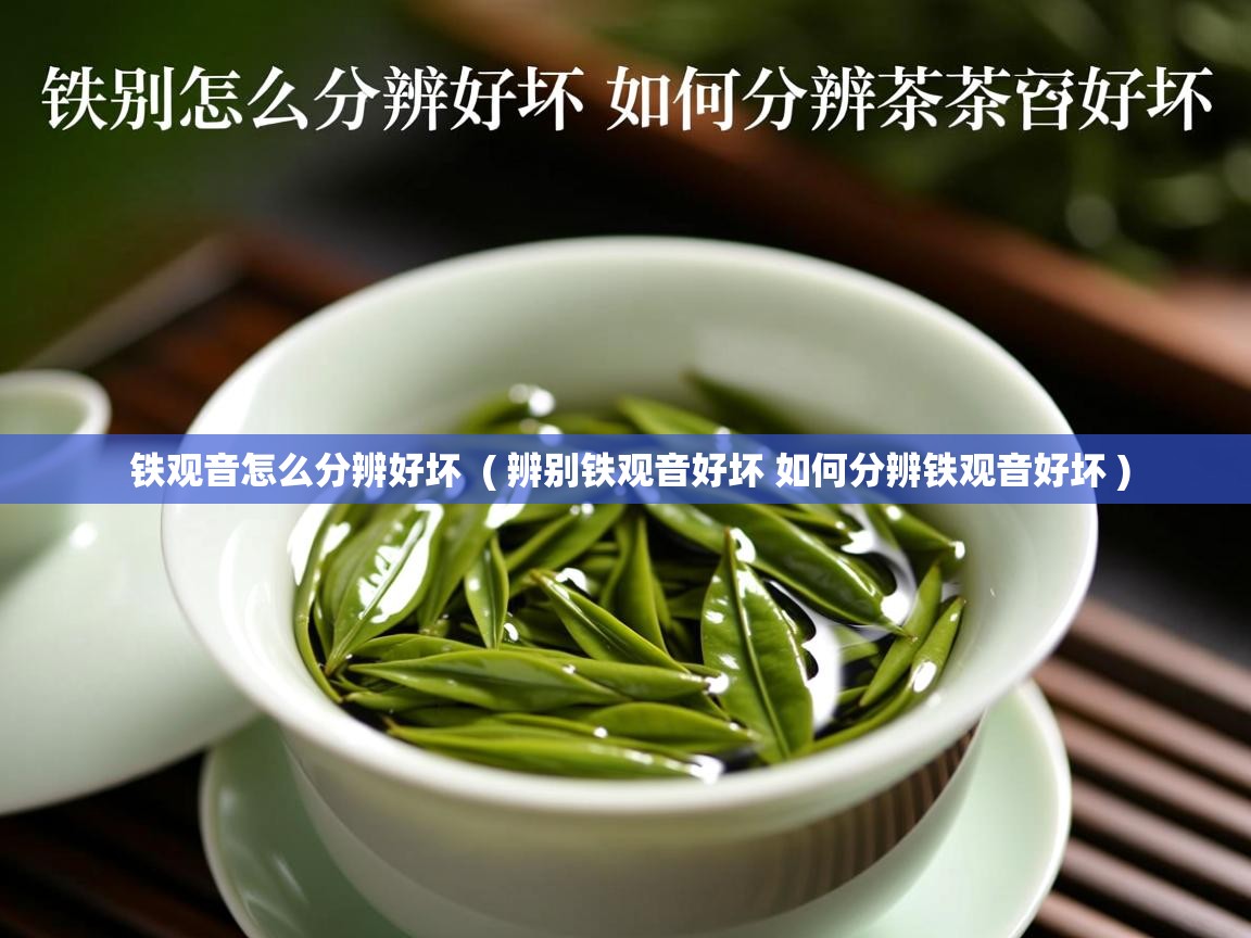  铁观音怎么分辨好坏  ( 辨别铁观音好坏 如何分辨铁观音好坏 )