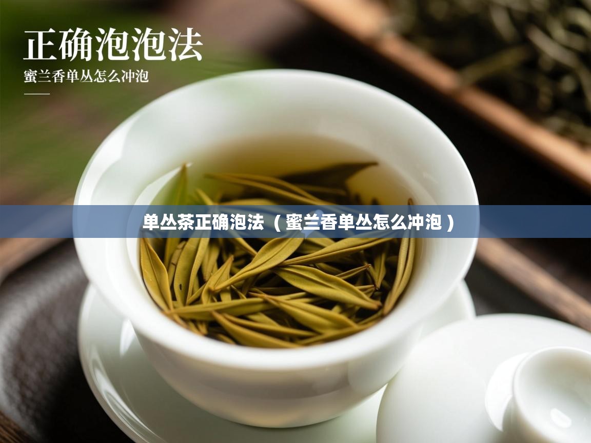 单丛茶正确泡法 ( 蜜兰香单丛怎么冲泡 ) 单丛茶正确泡法 ( 蜜兰香单丛怎么冲泡 )
