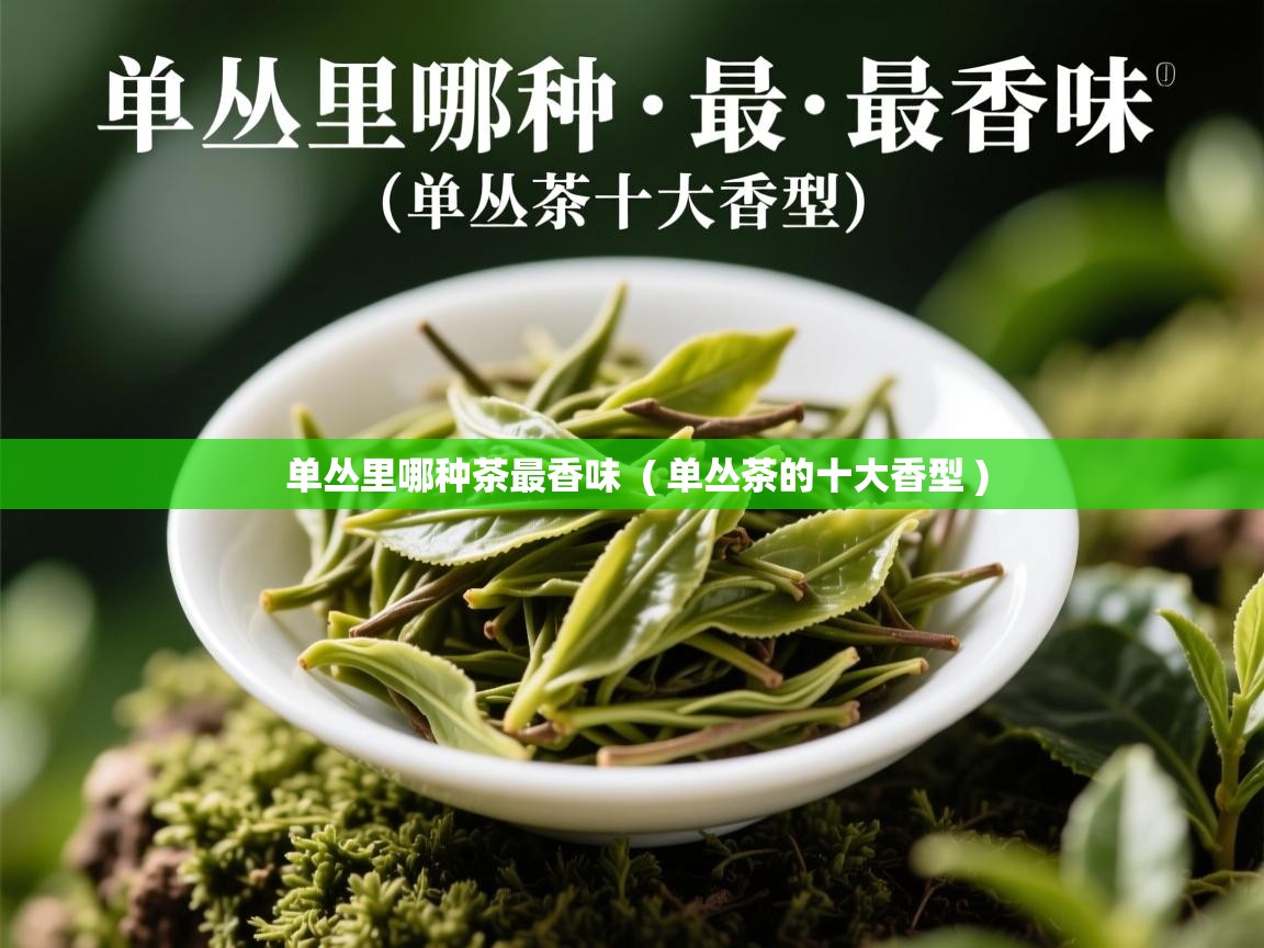 单丛里哪种茶最香味 ( 单丛茶的十大香型 ) 单丛里哪种茶最香味 ( 单丛茶的十大香型 )