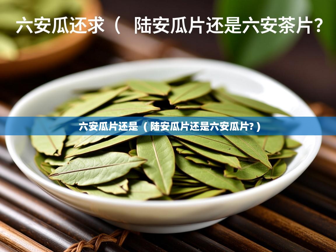  六安瓜片还是  ( 陆安瓜片还是六安瓜片? )