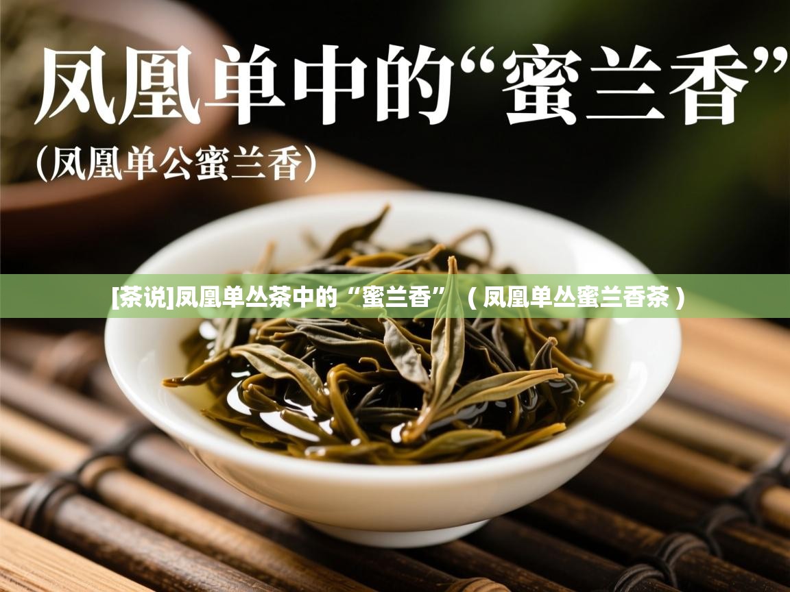  [茶说]凤凰单丛茶中的“蜜兰香”  ( 凤凰单丛蜜兰香茶 )