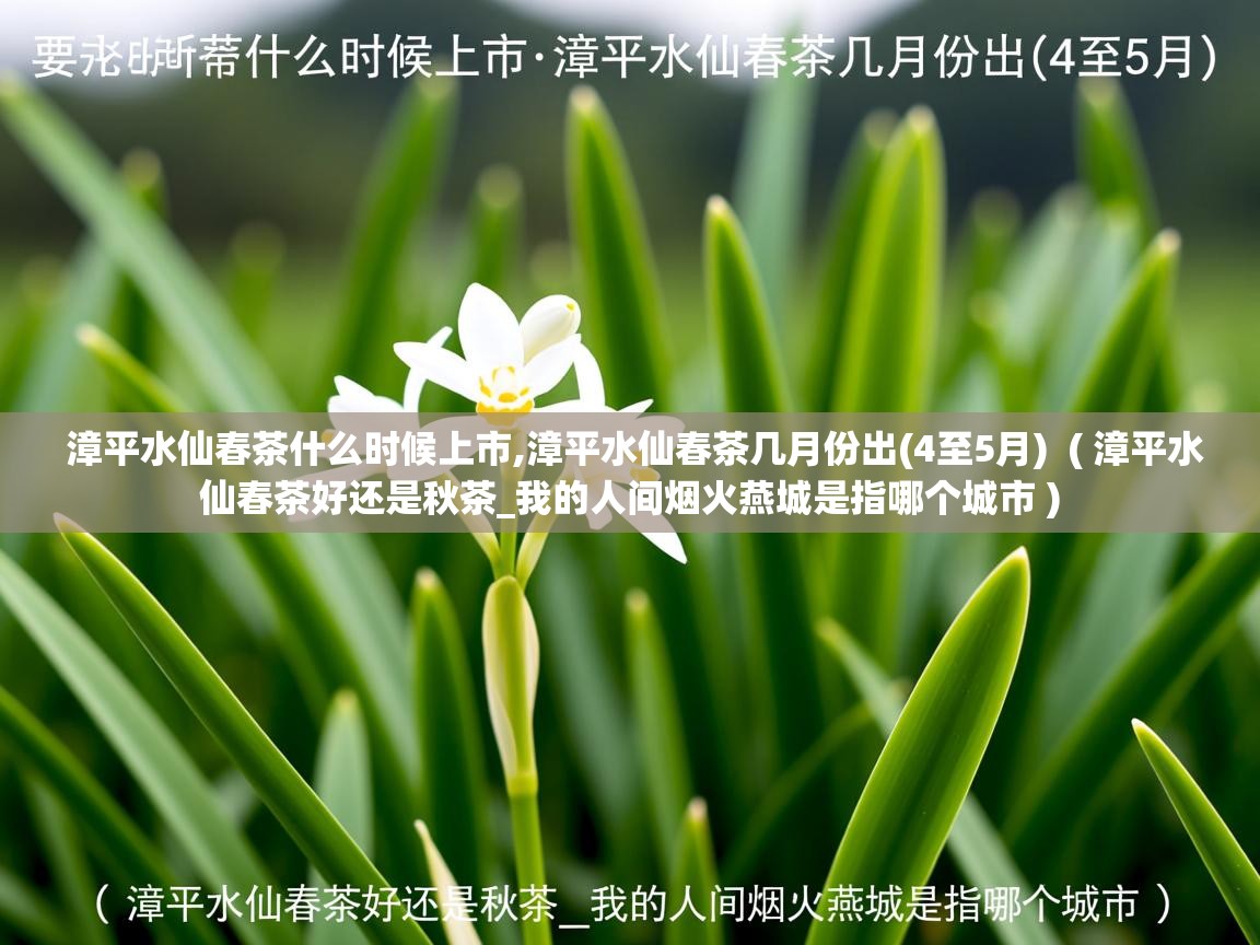  漳平水仙春茶什么时候上市,漳平水仙春茶几月份出(4至5月)  ( 漳平水仙春茶好还是秋茶_我的人间烟火燕城是指哪个城市 )