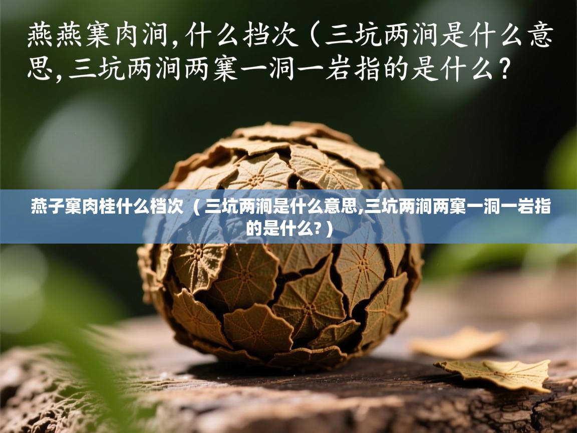 燕子窠肉桂什么档次 ( 三坑两涧是什么意思,三坑两涧两窠一洞一岩指的是什么? ) 燕子窠肉桂什么档次 ( 三坑两涧是什么意思,三坑两涧两窠一洞一岩指的是什么? )