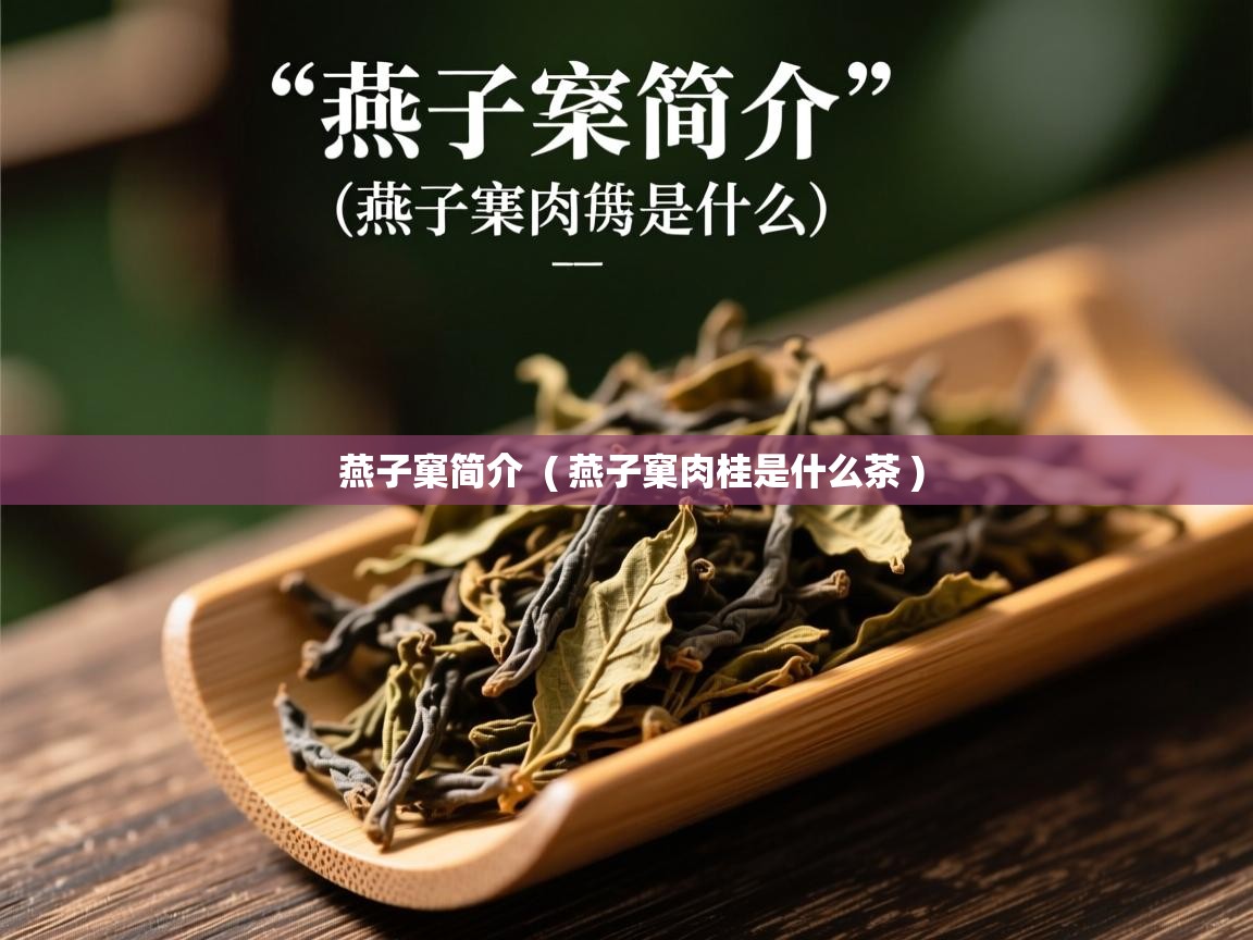  燕子窠简介  ( 燕子窠肉桂是什么茶 )