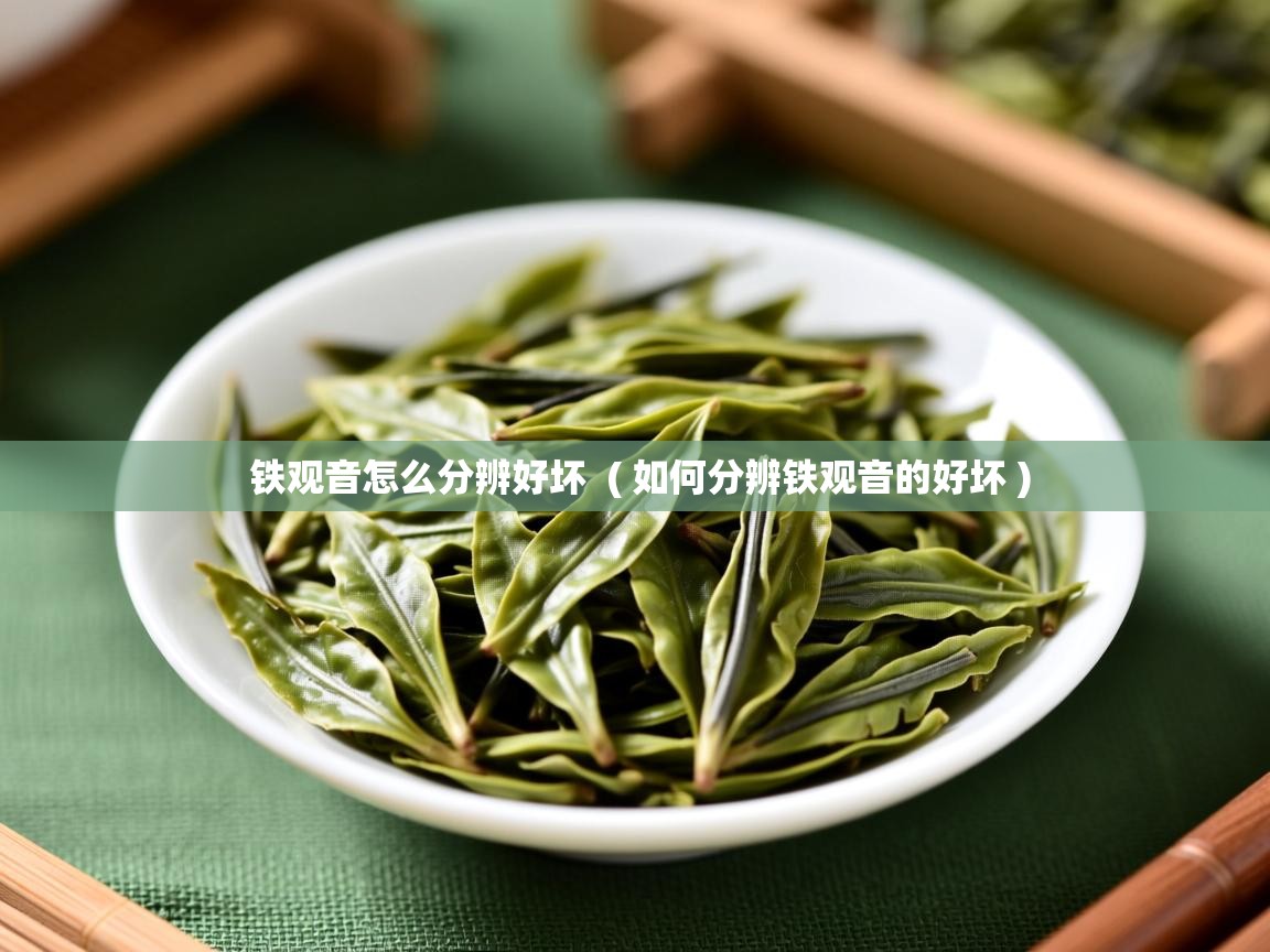 铁观音怎么分辨好坏 ( 如何分辨铁观音的好坏 ) 铁观音怎么分辨好坏 ( 如何分辨铁观音的好坏 )