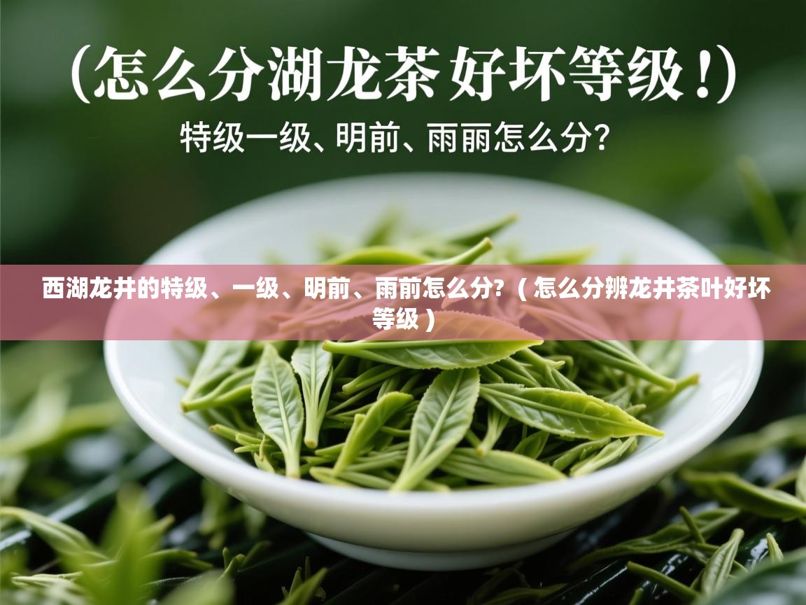 西湖龙井的特级、一级、明前、雨前怎么分? ( 怎么分辨龙井茶叶好坏等级 ) 西湖龙井的特级、一级、明前、雨前怎么分? ( 怎么分辨龙井茶叶好坏等级 )