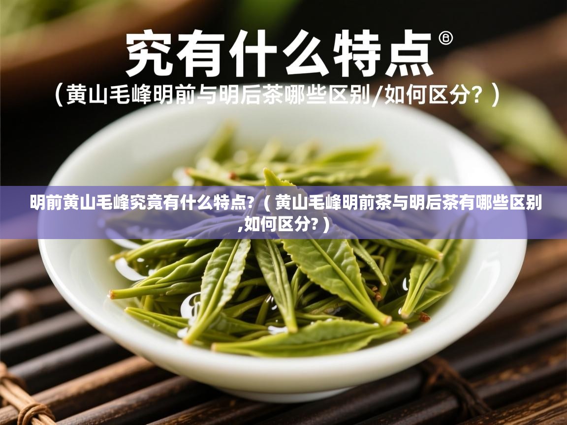  明前黄山毛峰究竟有什么特点?  ( 黄山毛峰明前茶与明后茶有哪些区别,如何区分? )