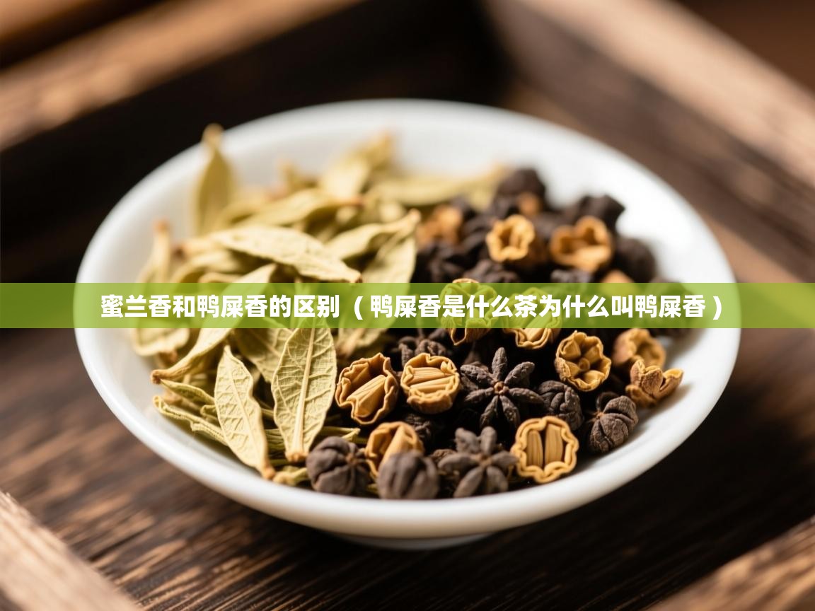  蜜兰香和鸭屎香的区别  ( 鸭屎香是什么茶为什么叫鸭屎香 )