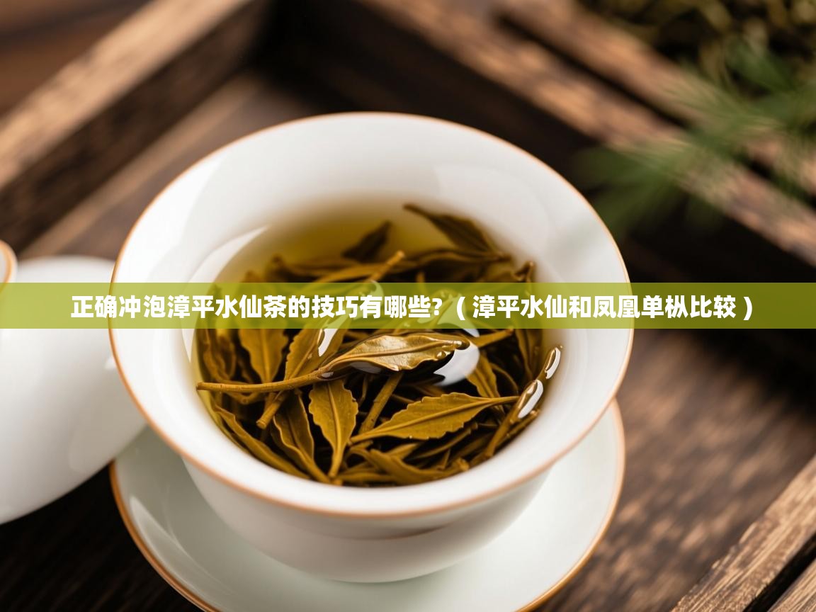  正确冲泡漳平水仙茶的技巧有哪些?  ( 漳平水仙和凤凰单枞比较 )